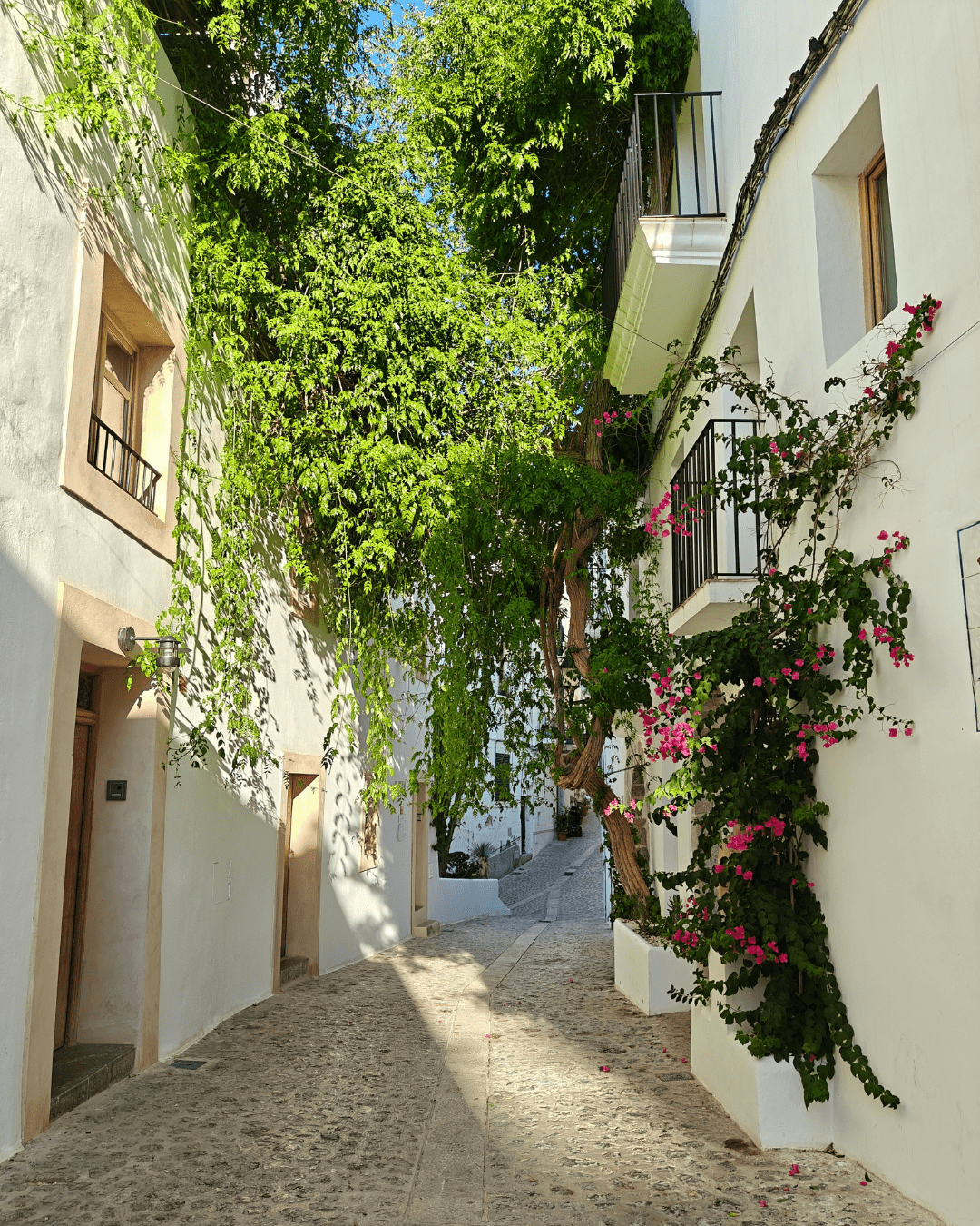 Pacific Essence (1) Pacific Essence (1)